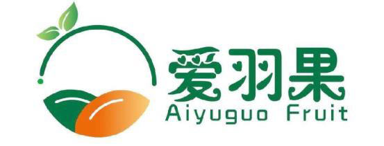愛羽果貿(mào)易ERP實(shí)施案例 ——青島用友軟件